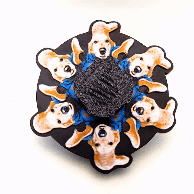 Golden Retriever Zoetrope Spinner READ DESCRIPTION