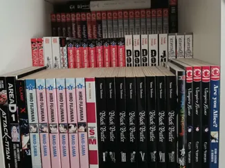 Manga Book Riser for IKEA Kallax