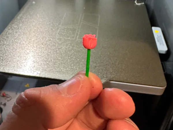 https://makerworld.bblmw.com/makerworld/model/USf5285a3fea6b8b/design/ae6f447007e46abf.jpg