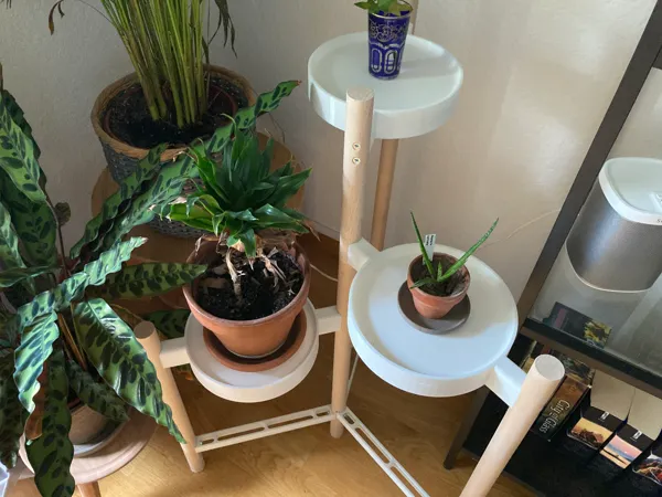 https://makerworld.bblmw.com/makerworld/model/USf528bcb658f068/design/2024-07-07_2ff56b33f3b6f8.png