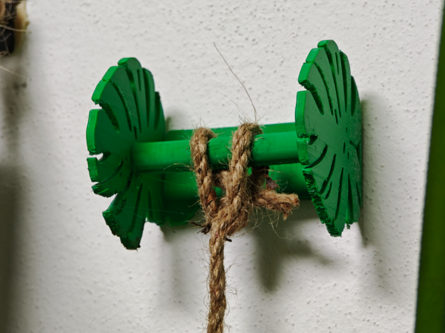 Monstera leaf wall support
