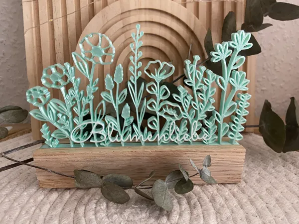 https://makerworld.bblmw.com/makerworld/model/USf529784a8e696e/design/8b14874687f5f16e.jpeg