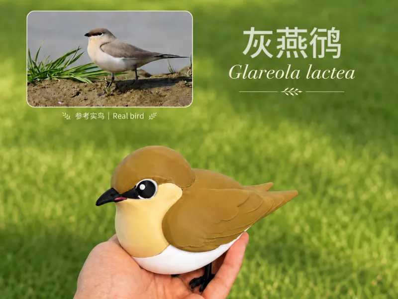 可爱小鸟模型 灰燕鸻 Glareola lactea