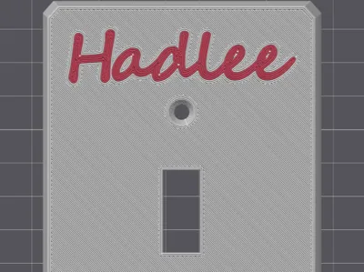 Custom Light Switch Cover