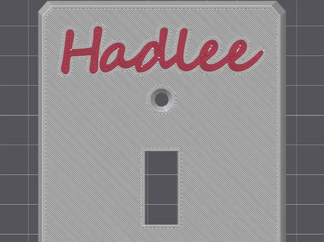 Custom Light Switch Cover