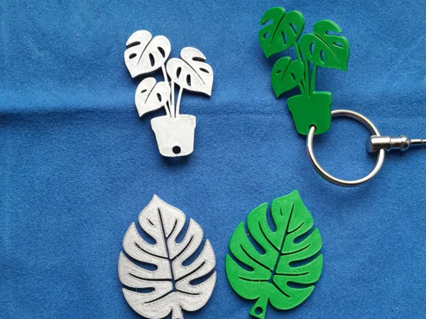 https://makerworld.bblmw.com/makerworld/model/USf52b827805af00/design/2025-05-14_50ca5368d07b28.jpg