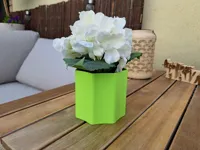 0.2mm layer, 3 walls, 5% infill