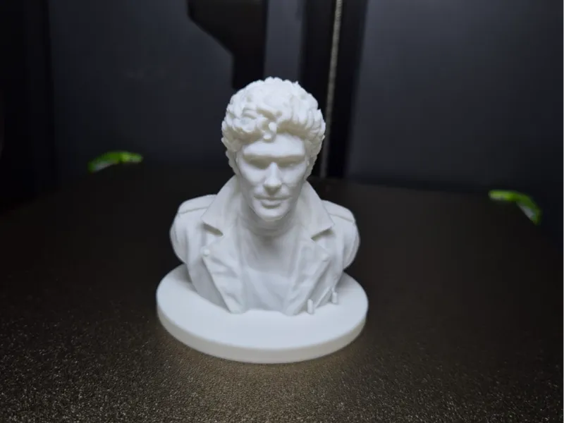 David Hasselhoff bust