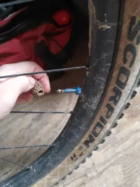 Bouchon de valve Schrader forme pomme de pin — photo 5
