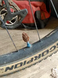 Bouchon de valve Schrader forme pomme de pin — photo 9