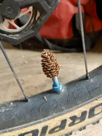 Bouchon de valve Schrader forme pomme de pin — photo 8