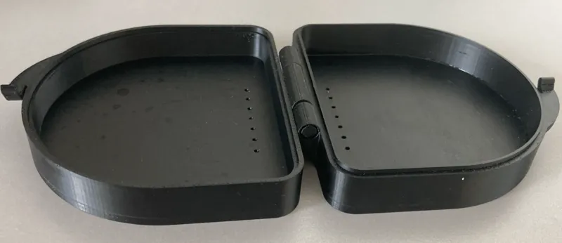 Braces Case