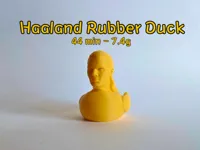 Canard fantaisie Erling Haaland — photo 2