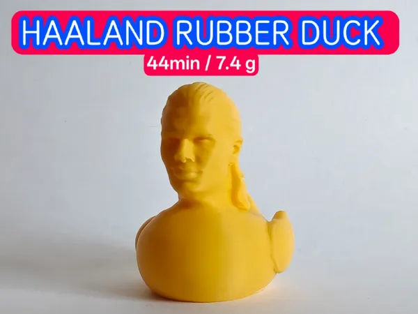Canard fantaisie Erling Haaland