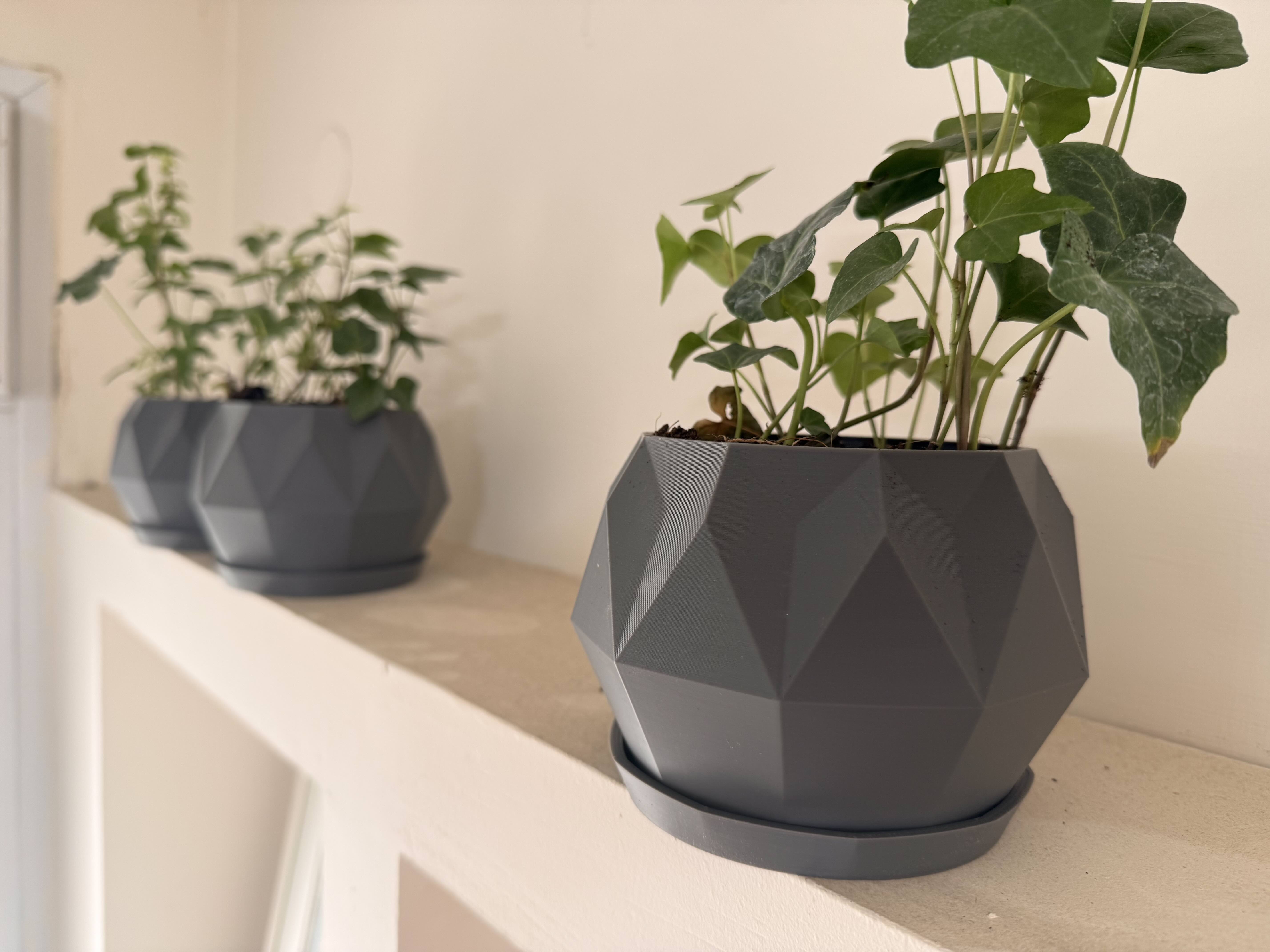 Miniatura 2 do modelo 3D 10 sided Geometric Planter