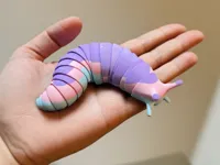 Limace flexible — photo 2