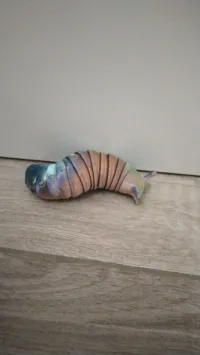 Limace flexible — photo 3