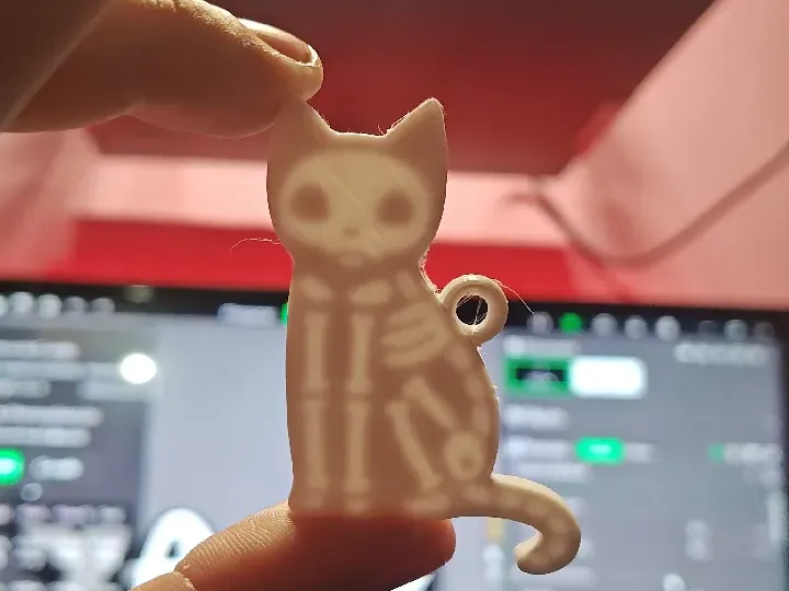 Cat skeleton keychain