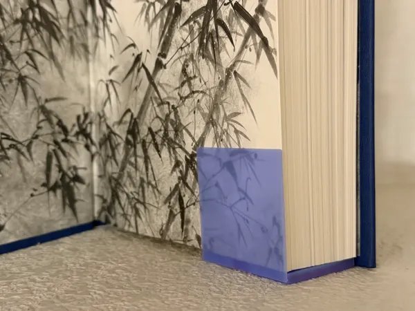 https://makerworld.bblmw.com/makerworld/model/USf5418c76a3c722/design/2025-10-09_93b0180b3676b.jpeg
