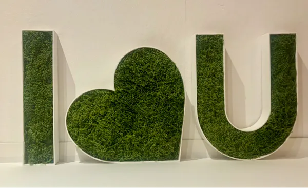 https://makerworld.bblmw.com/makerworld/model/USf547da013455c8/design/2025-01-18_c19a110e83279.jpg