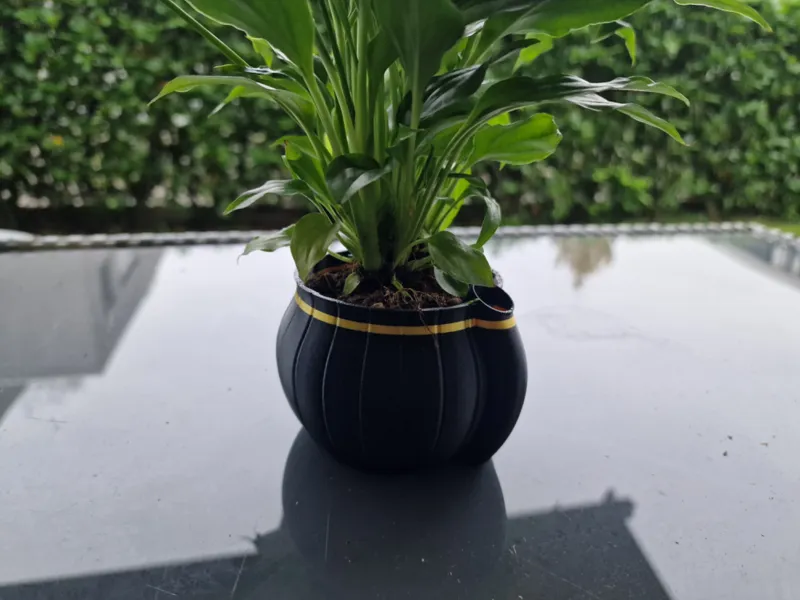self watering vase