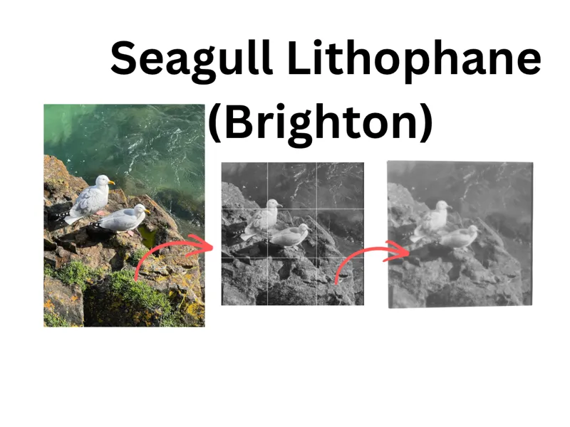 Seagull Lithophane Brighton Harbour
