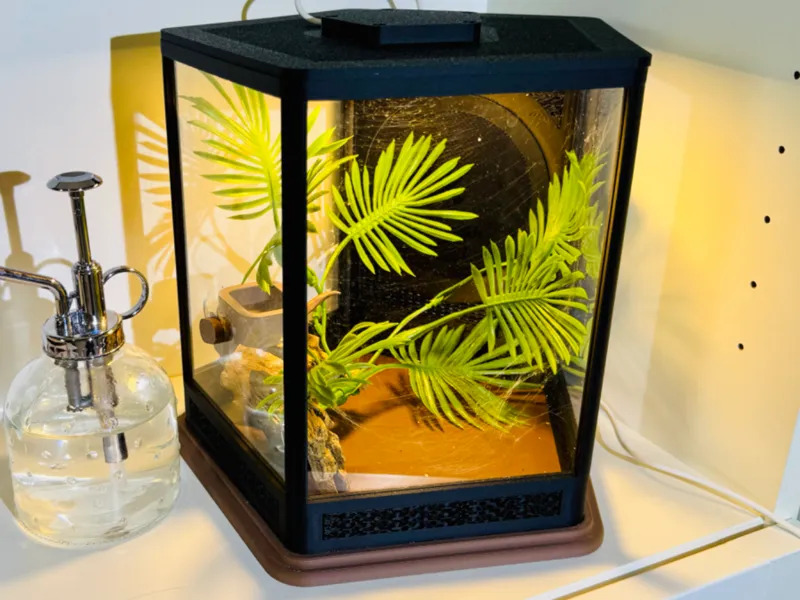 Jumping Spider Terrarium Enclosure (Large 5 Sided)