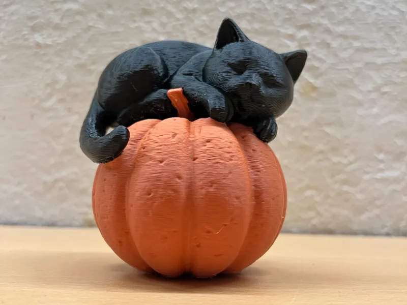 Black Cat & Pumpkin | Cozy Fall