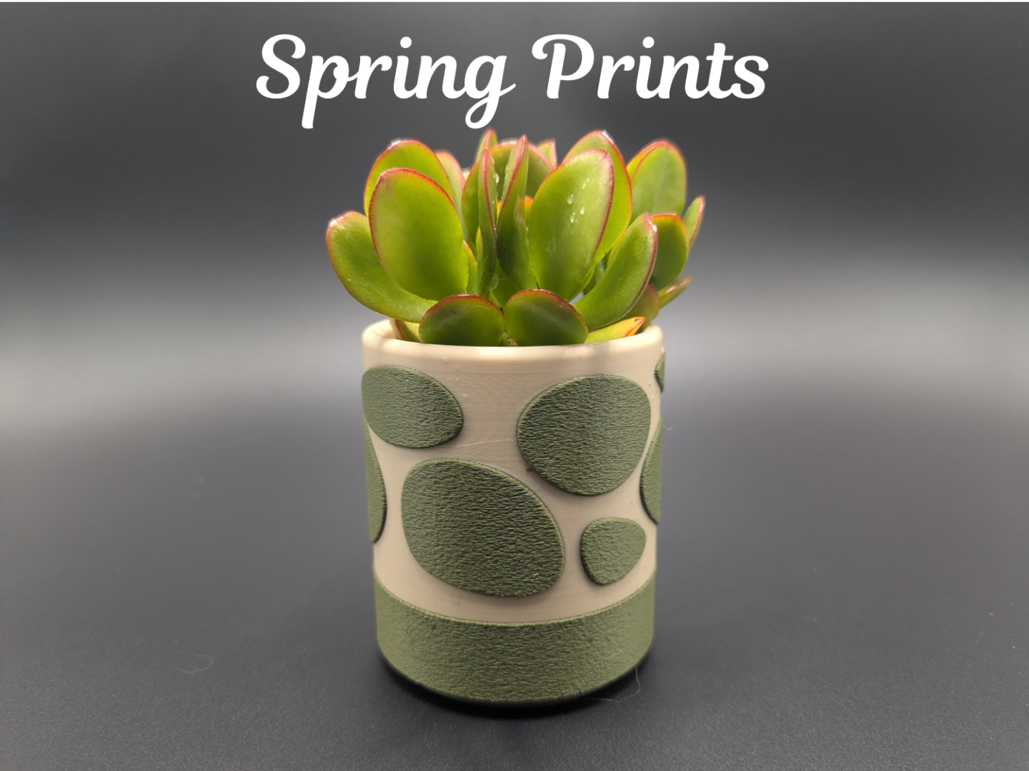 Fuzzy Moss Debossed Two Piece Planter