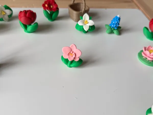 https://makerworld.bblmw.com/makerworld/model/USf56230fbb8e409/design/d6aa3f715a437ddd.jpeg