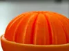 Full Curvature = PLA FOR BODY + DEDICATED SUPPORT MATERIAL