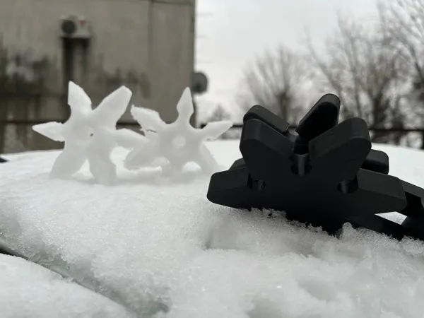 https://makerworld.bblmw.com/makerworld/model/USf569d0d0496232/design/2025-11-29_8d0e6d98c1c7e.jpg