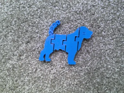 Flexi dog