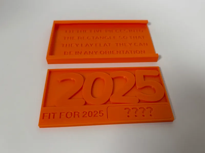 Fit For 2025 Packing Puzzle With Travel Case
