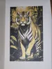 Scaled to 1125x675, split into 225x225 pieces