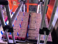 0.2mm layer, 3 walls, 25% infill