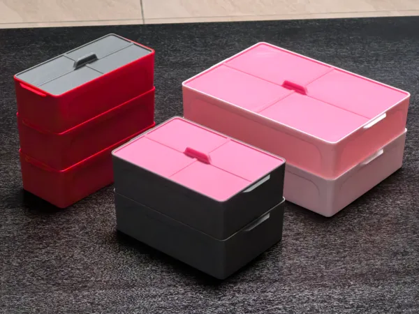 https://makerworld.bblmw.com/makerworld/model/USf579a446b660d5/design/2025-02-07_1ee029fab8445.jpg