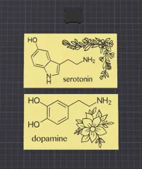 Serotonin and Dopamine_One Plate 