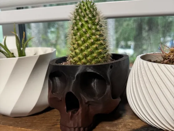 https://makerworld.bblmw.com/makerworld/model/USf57b8b54fb159c/design/2025-02-23_2fd3df4599f6c.jpg