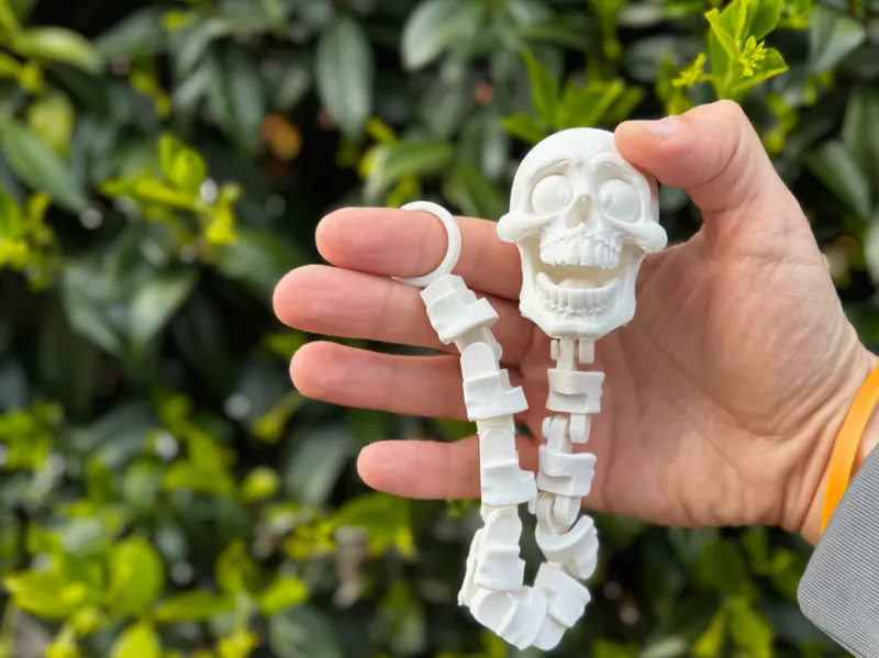 Articulated Skeleton Fidget Toy