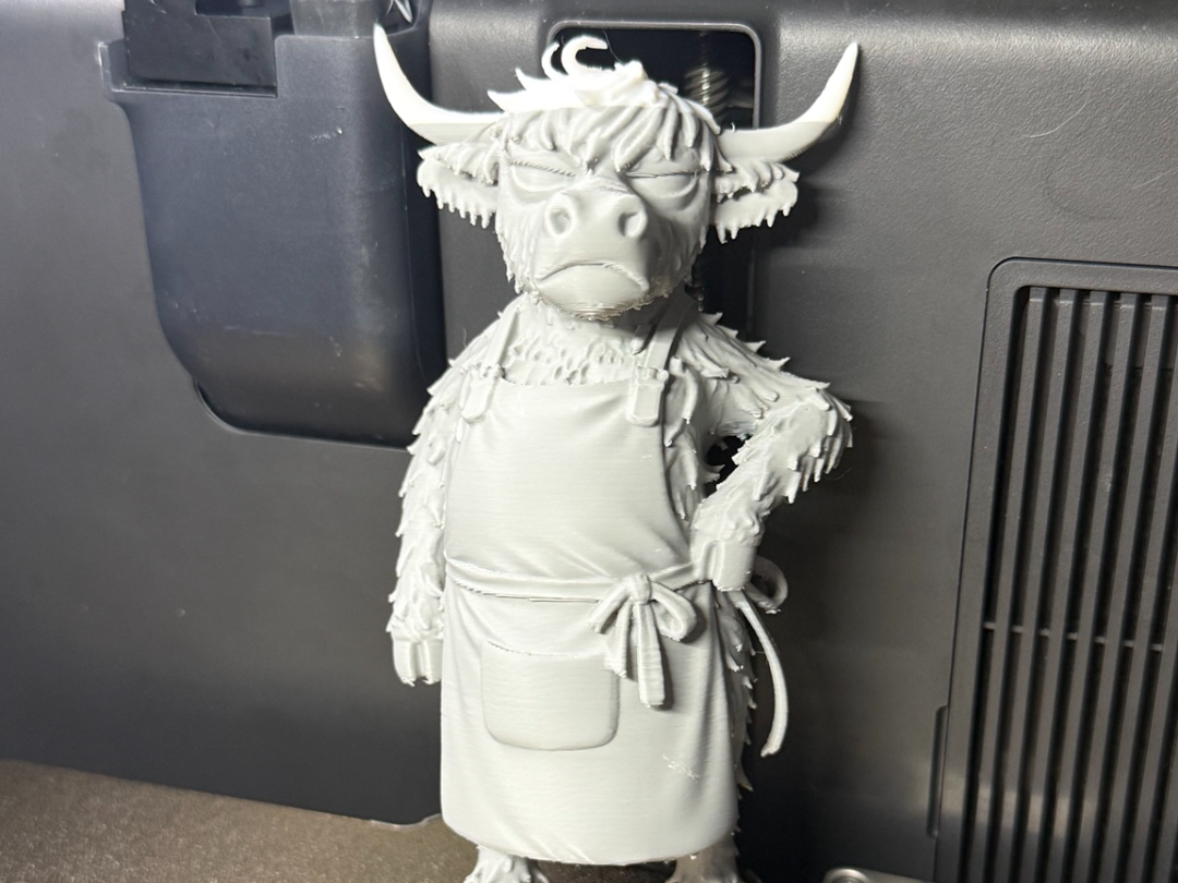 Grumpy Highland Cow in Apron