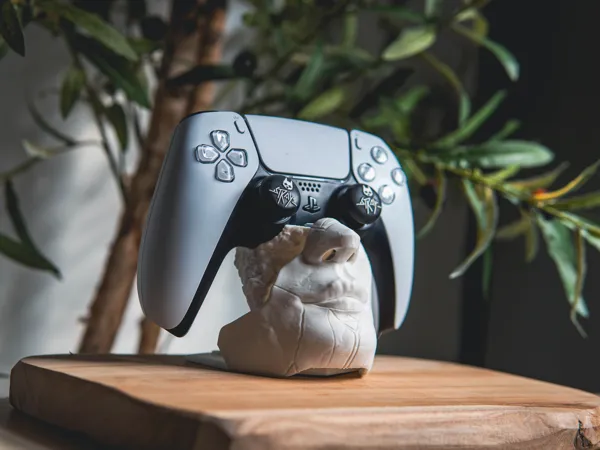 https://makerworld.bblmw.com/makerworld/model/USf58c4e38eb2efe/design/2025-12-29_c678401f157748.jpg