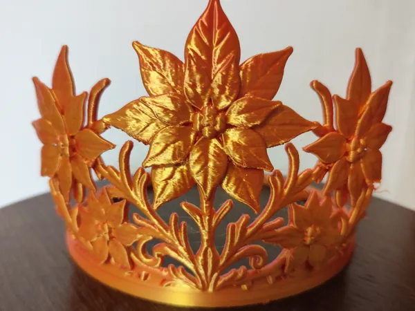 https://makerworld.bblmw.com/makerworld/model/USf59016540d7bbc/design/2025-11-09_0c67f4747e89f.jpg
