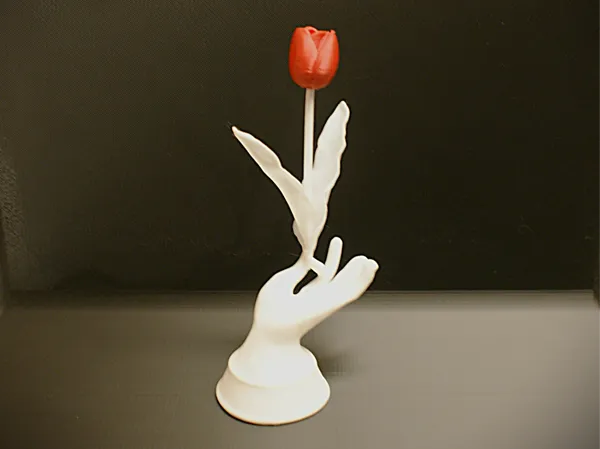 https://makerworld.bblmw.com/makerworld/model/USf59146d6276ce2/design/2025-02-26_fa6d1deecdc6b.jpg