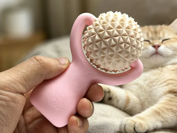 https://makerworld.bblmw.com/makerworld/model/USf596532345956f/design/093e3a032d7186c1.jpg