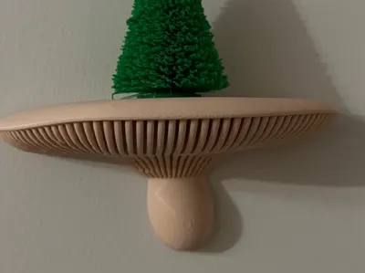 Mushroom Shelf