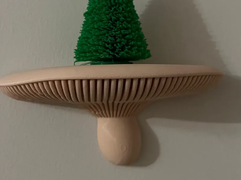 Mushroom Shelf