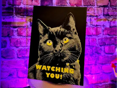 Watching You black cat - Chroma Canvas