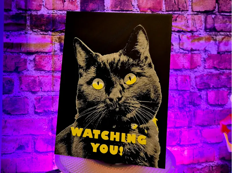 Watching You black cat - Chroma Canvas