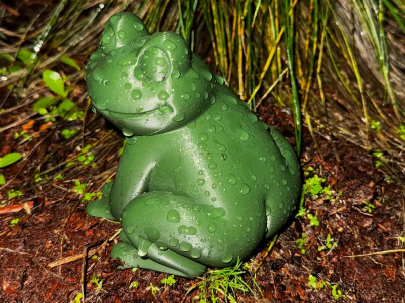Cheeky Critter Frog